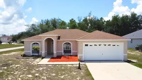 310 Kingfish Dr, Kissimmee, FL 34759