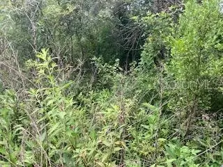 Sweetwater Trail, Kissimmee, FL 34747