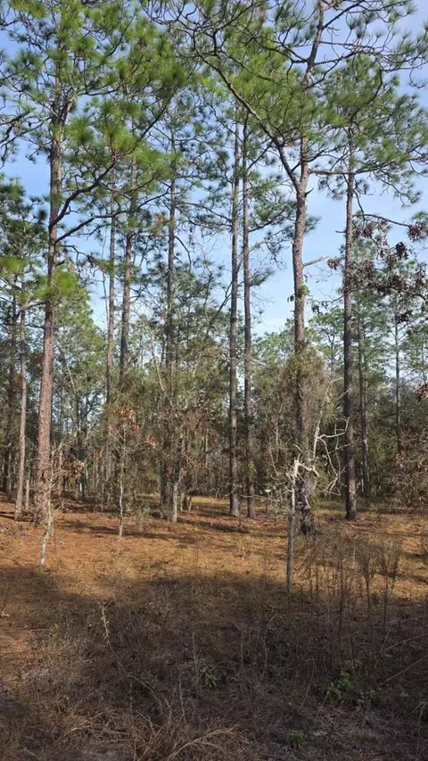 0 NW Alvarez Rd N Nw Alvarez Rd Hwy, Dunnellon, FL 34431