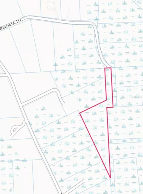 0 Patricia Trl, Kissimmee, FL 34747
