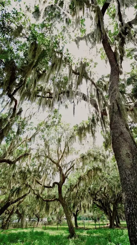 Other - 2000 Parkway Ave, Saint Cloud, FL 34772 photo 5 of 5