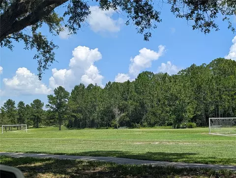 Other - 3214 Needlegrass Ln, Harmony, FL 34773 photo 16 of 18