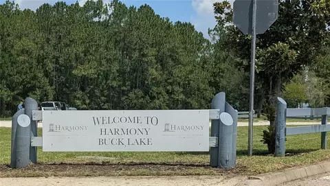Other - 3214 Needlegrass Ln, Harmony, FL 34773 photo 14 of 18