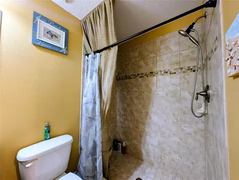 Bath - 3214 Needlegrass Ln, Harmony, FL 34773 photo 7 of 8