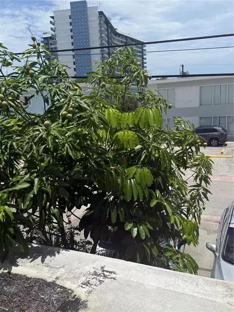 7350 Gary Ave, Miami Beach, FL 33141