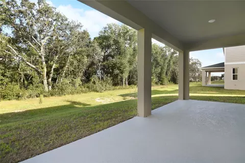 Exterior - 1042 Cloud Ridge Ct, Mount Dora, FL 32757 photo 3 of 3