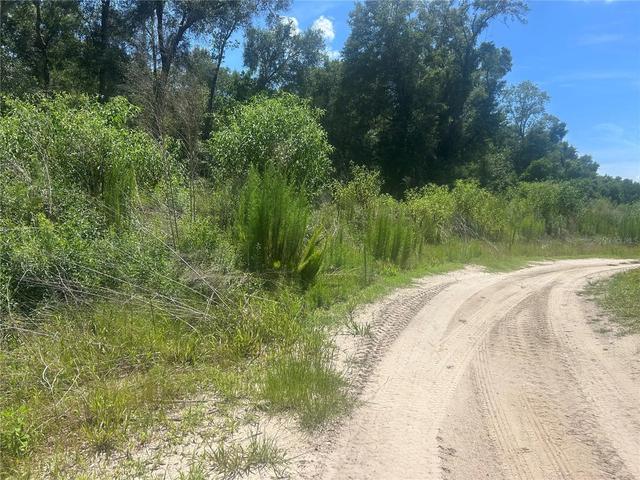 4598 E Jay St, Inverness, FL 34453