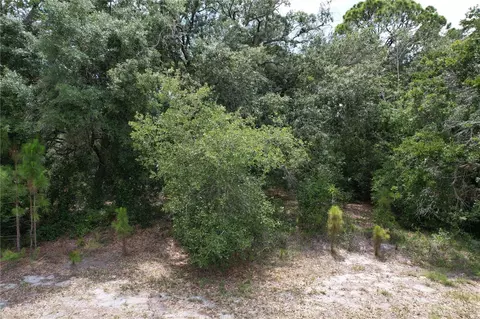1008 Wildflower St, Lake Placid, FL 33852