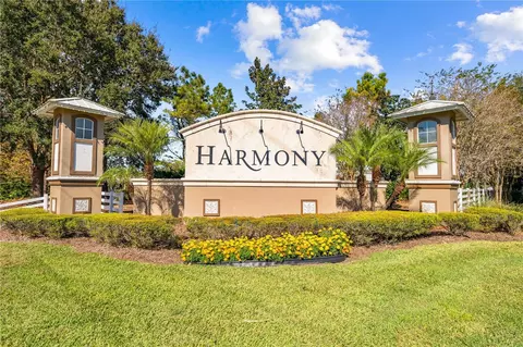View/Area - 3358 Cat Brier Trl, Harmony, FL 34773 photo 4 of 8