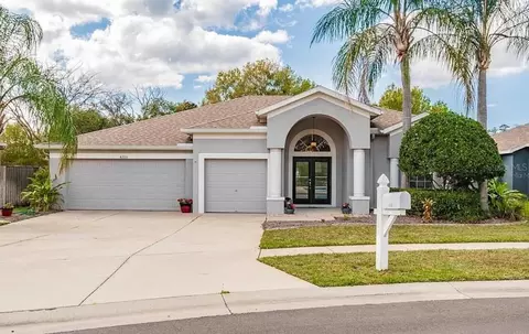 4205 Mast Ct, Land O Lakes, FL 34639