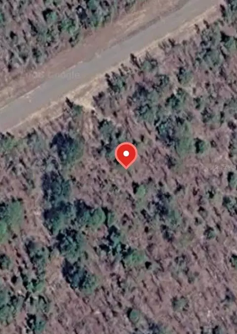 albion drive, Chipley, FL 32428 photo 1