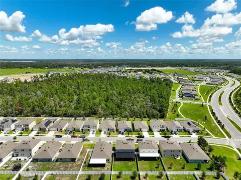 View/Area - 2533 Harmonia Hammock Rd, Harmony, FL 34773 photo 2 of 15