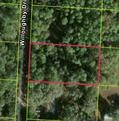 7352 Willoughby Dr, Webster, FL 33597 photo 2