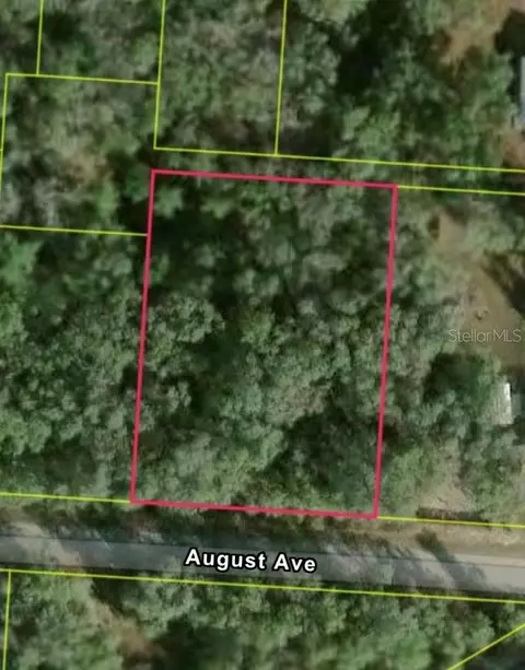 34039 August Ave, Webster, FL 33597 photo 2