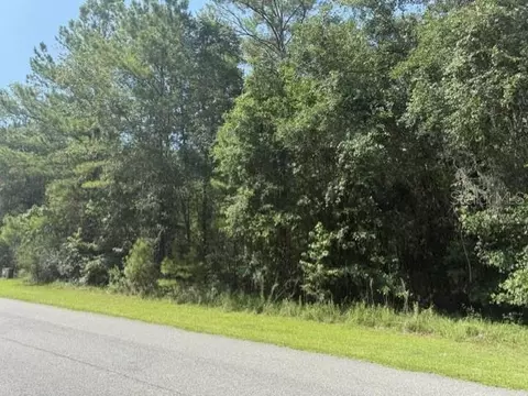 0 NW 148 Ln, Reddick, FL 32686 photo 8