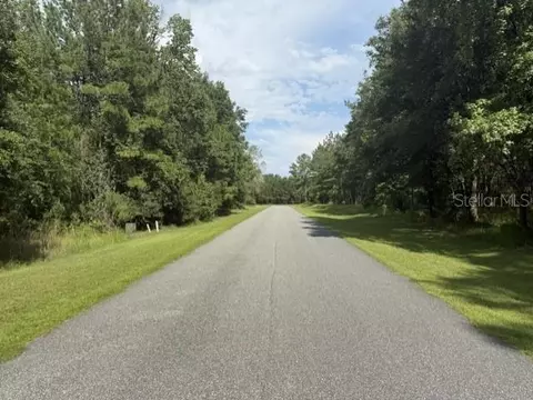 0 NW 148 Ln, Reddick, FL 32686 photo 6