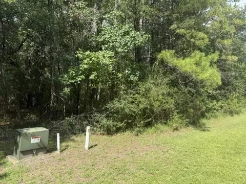 0 NW 148 Ln, Reddick, FL 32686 photo 7