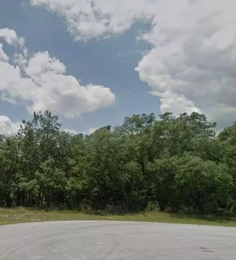 204 Kingfish Way, Poinciana, FL 34759