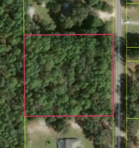 1864 S S Colonial Ave, Homosassa, FL 34448