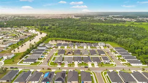 View/Area - 5447 Pine Lilly Dr, Saint Cloud, FL 34771 photo 5 of 10