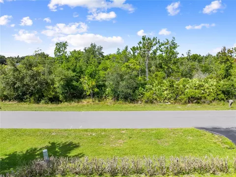 2240 Bronco Dr, Saint Cloud, FL 34771 photo 3