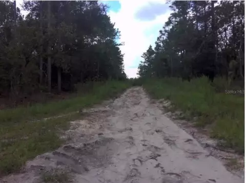 25 Th Pl Lot 16 Sw 25th Pl, Ocala, FL 34481 photo 5