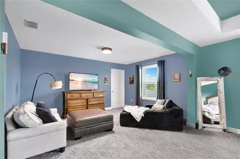 Other - 5233 Villa Rosa Ave, Saint Cloud, FL 34771 photo 8 of 14