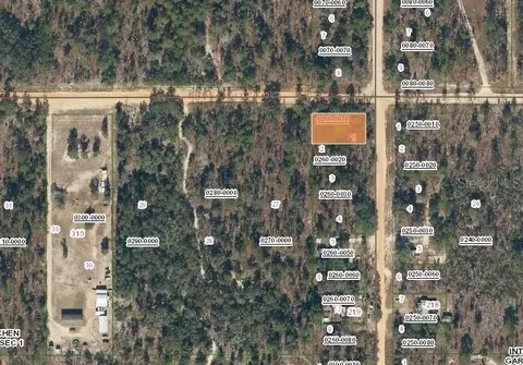 231 Violet Ave, Interlachen, FL 32148 photo 3