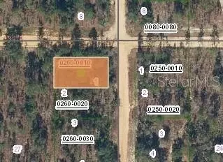 231 Violet Ave, Interlachen, FL 32148 photo 2