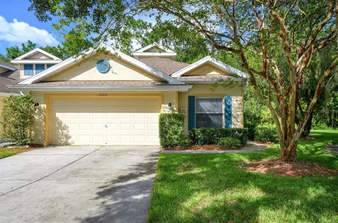 20221 Vintage Oaks Pl, Tampa, FL 33647