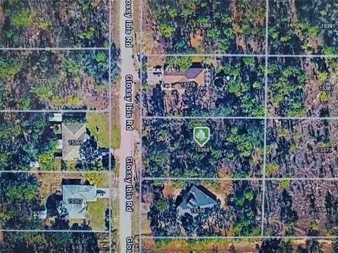15368 Glossy Ibis Rd, Weeki Wachee, FL 34614