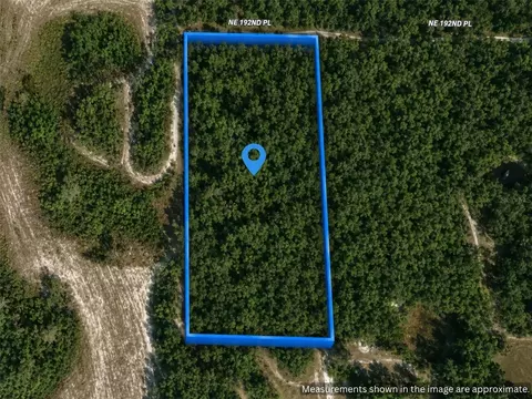 X, Citra, FL 32113