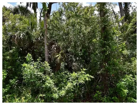 Numera Avenue, North Port, FL 34288