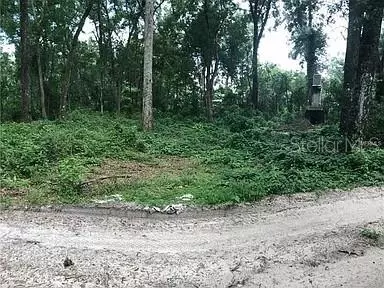 20316 Baldpate Rd, Altoona, FL 32702