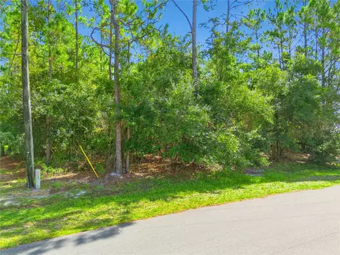 Mustang, Saint Cloud, FL 34771 photo 2
