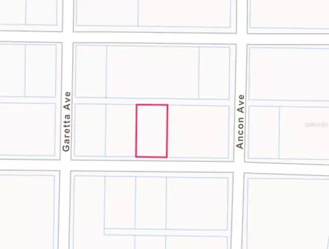 35415 Holmes St, Webster, FL 33597 photo 3