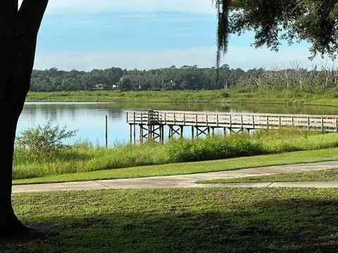 View/Area - 1988 Ancient Oak Dr, Ocoee, FL 34761 photo 2 of 2