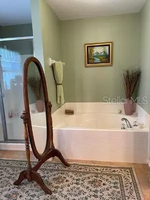 3638 Doe Run Dr, Saint Cloud, FL 34772 photo 9