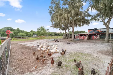 Exterior - 4594 Hickory Tree Rd, Saint Cloud, FL 34772 photo 7 of 10