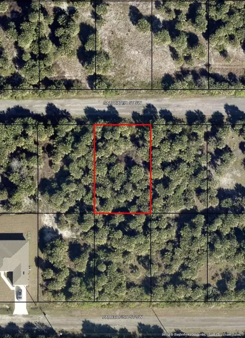 866 Saltwater St SW, Palm Bay, FL 32908