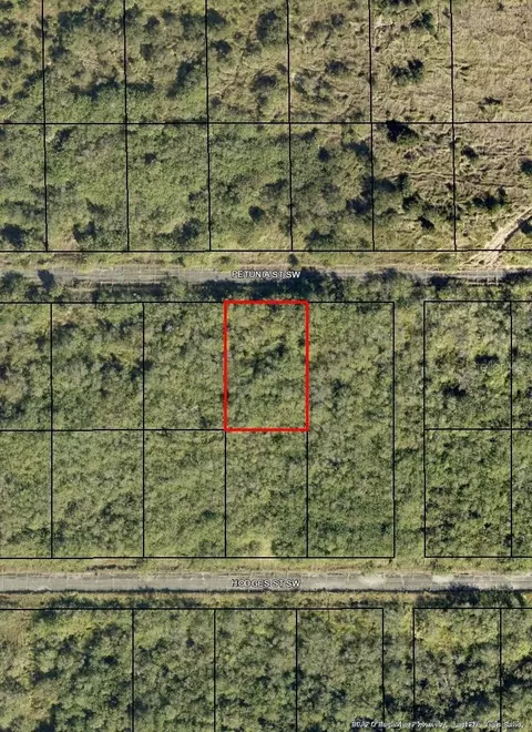 1574 Petunia St SW, Palm Bay, FL 32908