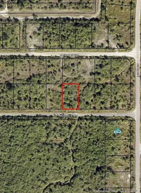 1319 Musted St SW, Palm Bay, FL 32908