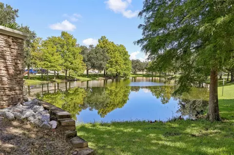 View/Area - 8608 Brookvale Dr, Windermere, FL 34786 photo 2 of 4