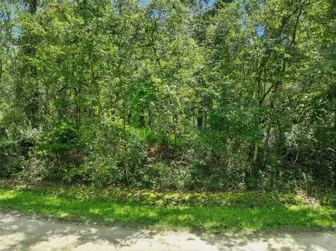 152 Nd Pl, Wellborn, FL 32094 photo 3