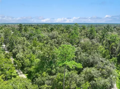 152 Nd Pl, Wellborn, FL 32094 photo 18