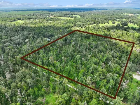 152 Nd Pl, Wellborn, FL 32094 photo 22