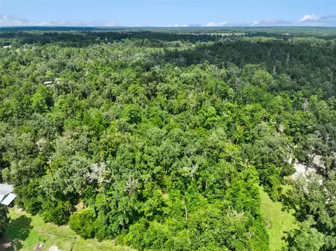 152 Nd Pl, Wellborn, FL 32094 photo 14