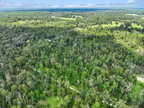 152 Nd Pl, Wellborn, FL 32094 photo 11
