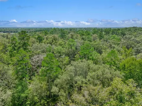 152 Nd Pl, Wellborn, FL 32094 photo 19