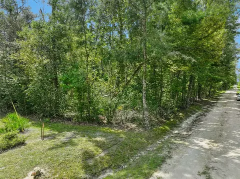 152 Nd Pl, Wellborn, FL 32094 photo 2